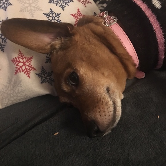 ⚡ MAKE OFFERS⚡ - Picture 7 of 7